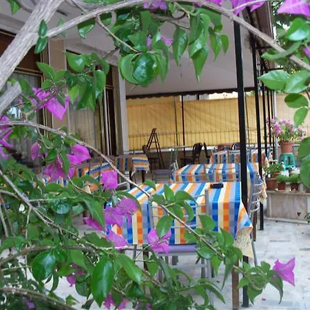 Timur Balikesir